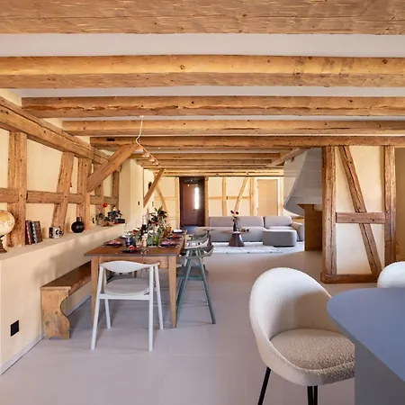 The Incredible Alsatian House Of The 21st Century *