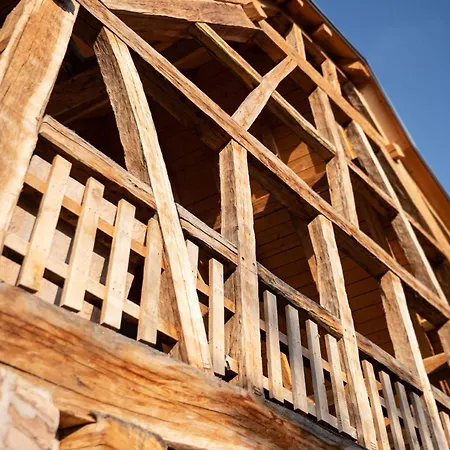 The Incredible Alsatian House Of The 21st Century