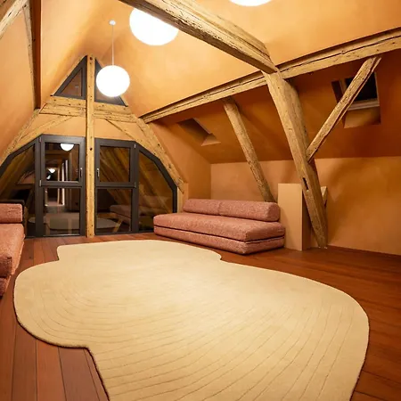 The Incredible Alsatian House Of The 21st Century