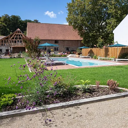 The Incredible Alsatian House Of The 21st Century