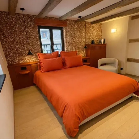 The Incredible Alsatian House Of The 21st Century