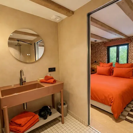 The Incredible Alsatian House Of The 21st Century Holiday home *