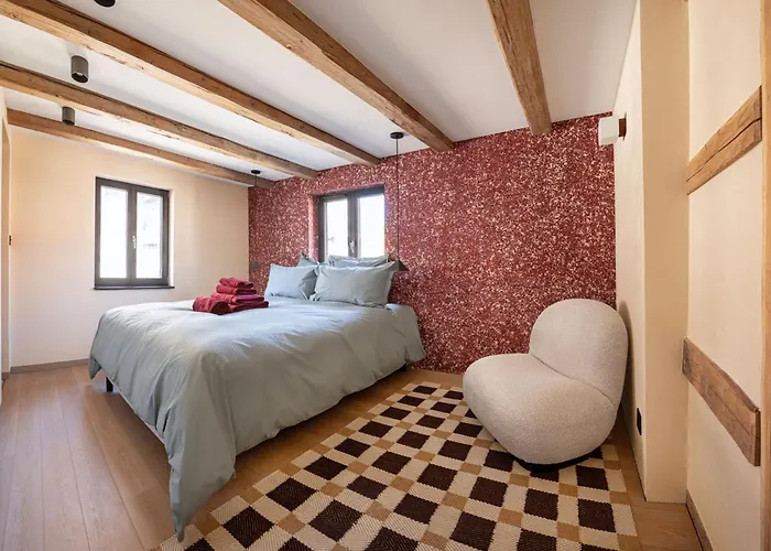 Hébergement de vacances L'incroyable Maison Alsacienne Du Xxi ème Siècle *