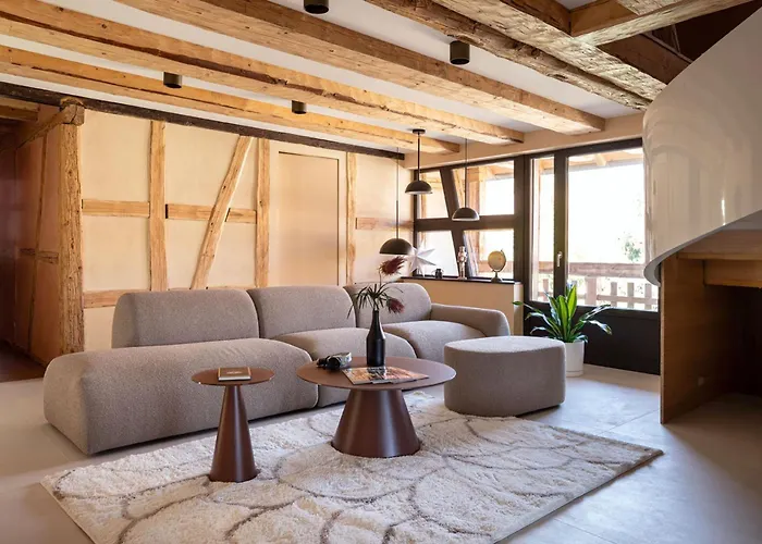 L'incroyable Maison Alsacienne Du Xxi ème Siècle *