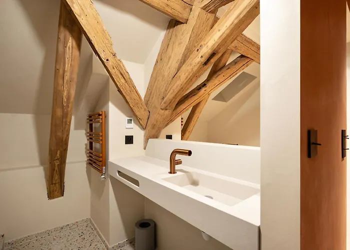 L'incroyable Maison Alsacienne Du Xxi ème Siècle *