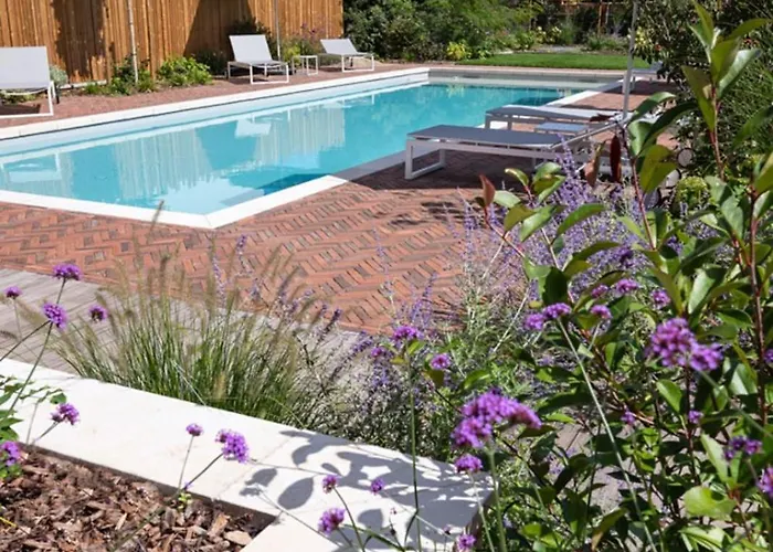 L'incroyable Maison Alsacienne Du Xxi ème Siècle Hébergement de vacances