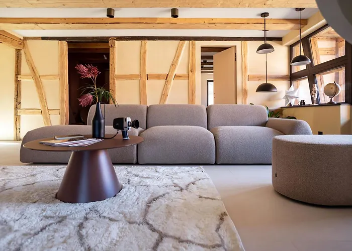 The Incredible Alsatian House Of The 21st Century Semesterbostad *