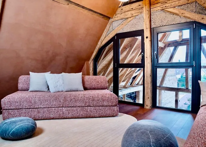 L'incroyable Maison Alsacienne Du Xxi ème Siècle * Hangenbieten